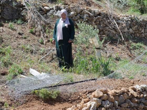 Urgent Appeal for Al-Makhrour: Protecting Land, Culture, and Livelihoods