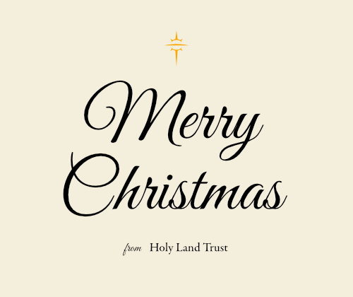 Merry Christmas: Together, We Bring Light