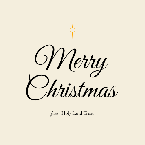 Merry Christmas: Together, We Bring Light